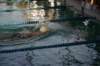 imgp5363_small.jpg