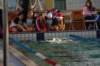 imgp5370_small.jpg
