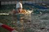 imgp5373_small.jpg