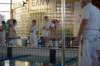 imgp5377_small.jpg