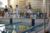 imgp5385_small.jpg
