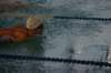 imgp5393_small.jpg