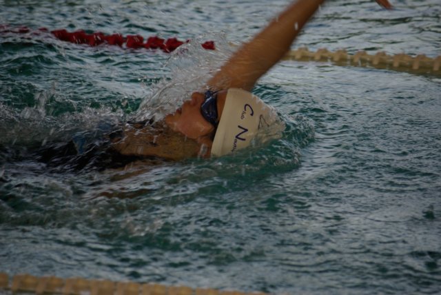 imgp5394.jpg