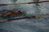 imgp5400_small.jpg