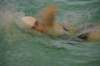 imgp5429_small.jpg