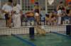 imgp5430_small.jpg
