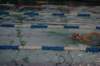 imgp5955_small.jpg