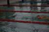 imgp5956_small.jpg