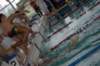 imgp5962_small.jpg