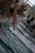 imgp5963_small.jpg
