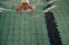 imgp5975_small.jpg