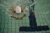imgp5976_small.jpg