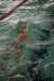 imgp5979_small.jpg