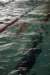 imgp5980_small.jpg