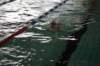 imgp5983_small.jpg