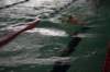 imgp5986_small.jpg