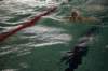 imgp5987_small.jpg