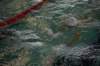 imgp5989_small.jpg