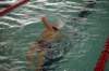 imgp5992_small.jpg