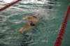 imgp5993_small.jpg