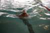 imgp6145_small.jpg