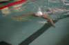 imgp6148_small.jpg