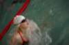 imgp6150_small.jpg