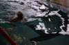 imgp6151_small.jpg