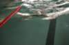 imgp6154_small.jpg