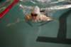 imgp6155_small.jpg