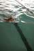 imgp6157_small.jpg