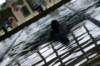 imgp6168_small.jpg