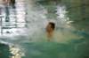 imgp6181_small.jpg