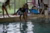 imgp6190_small.jpg