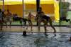 imgp6194_small.jpg