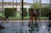 imgp6197_small.jpg