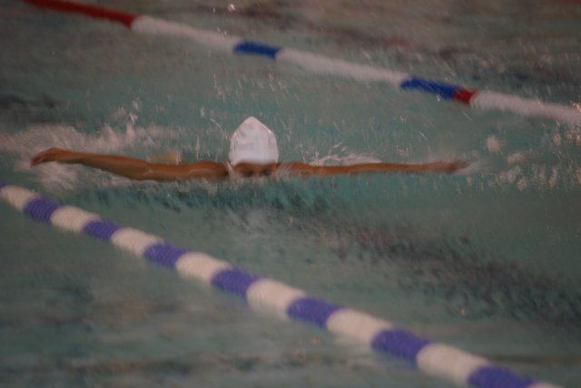 imgp6062.jpg