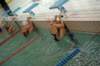 imgp6074_small.jpg