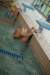 imgp6076_small.jpg