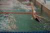 imgp6077_small.jpg