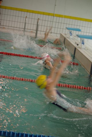 imgp6078.jpg