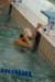 imgp6080_small.jpg