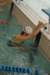 imgp6081_small.jpg