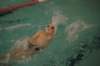 imgp6090_small.jpg
