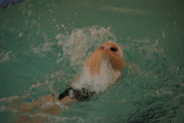 imgp6091.jpg
