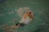 imgp6091_small.jpg