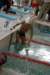 imgp6094_small.jpg