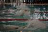imgp6095_small.jpg