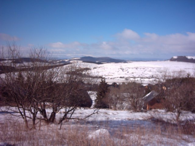 photo24.jpg