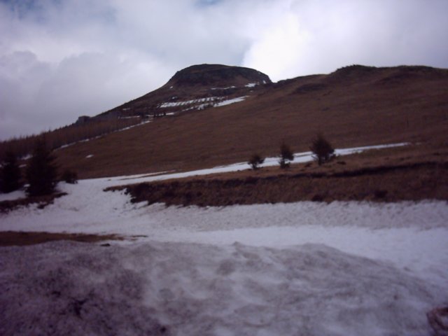 photo6.jpg